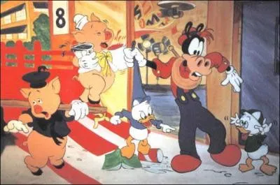 Nous connaissons le cochon rose, mais  l'origine il tait noir et velu. Pourquoi est-il devenu rose ?