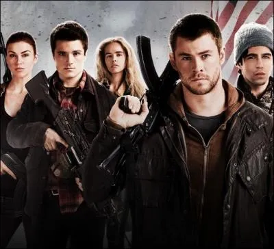 C'est le remake d'un film des annes 80 dans lequel un groupe d'adolescents faisaient face  une invasion ennemie. Aujourd'hui, les Corens ont remplac les Russes dans ce film, qui s'intitule :