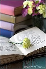 Qui est l'écrivain de "Chiens perdus sans collier" ?