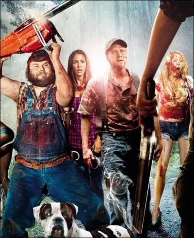 Quel est le titre de ce film d'horreur qui parodie les codes du slasher ?