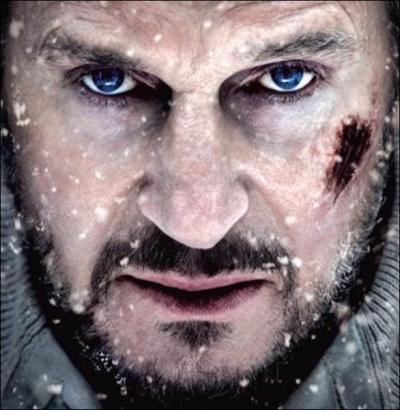 Dans ce film, Liam Neeson survit  un crash d'avion avec quelques autres hommes en Alaska, et doit affronter le froid et les btes sauvages pour survivre. C'est dans :