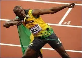 Le gupard court-il plus vite que Usain Bolt ?