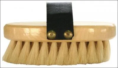 Quelle est cette brosse ?