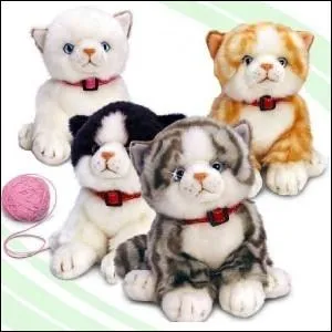 Y a-t-il un vrai chat ?