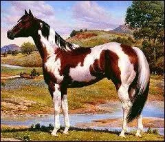 Comment s'appelle cette couleur de robe ?