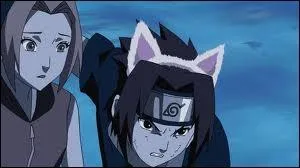 Quels sont ces personnages ?