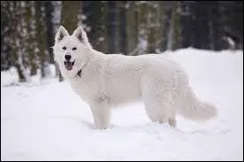 Mais, quelle est cette couleur ?