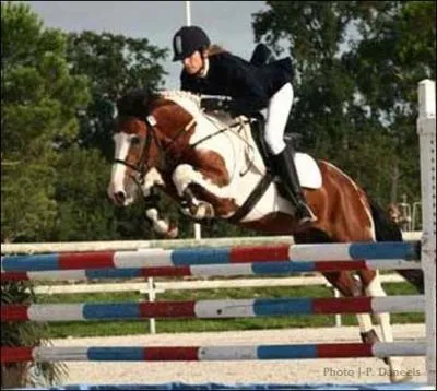 O se droule le concours d'talons de sport qui a lieu en Mars ?