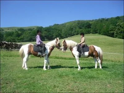 Traditionnellement, comment sont levs les Pottok ?