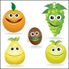 Je suis un tamarin :