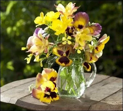 On m'a offert un bouquet de fleurs. De quelles fleurs s'agit-il ? Si vous avez trouv, c'est que vous savez lire dans mes :