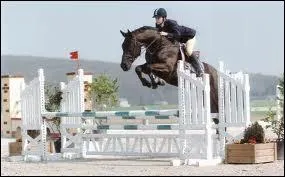 Comment s'appelle cette discipline ?