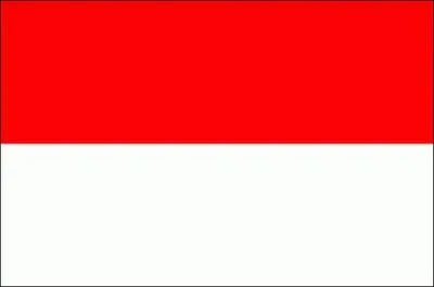 Ce drapeau est celui :