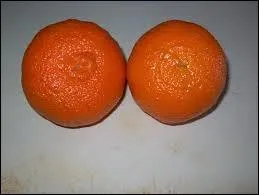 De quels arbres fruitiers est issu l'arbre donnant des tangors ?