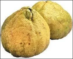 Reconnaissez-vous ce fruit ?