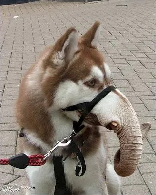 On se demande bien o ces deux-l ont pu se rencontrer !