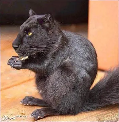 L, il y a eu un problme de taille !