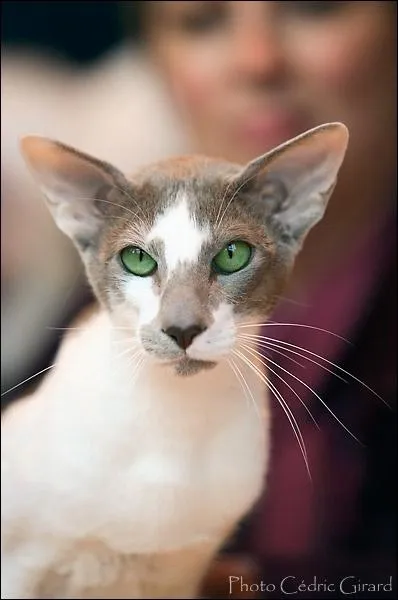 Et maintenant ? (Indice : le nom commence par un O ! )