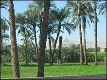 Le 28 septembre. Mort du prsident Nasser; c'est Anouar el-Sadate qui prend sa succession, cela se passe en ...