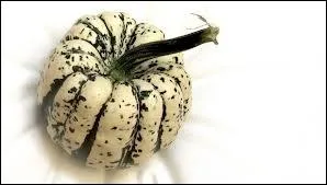 Courge  saveur de chtaigne frache :
