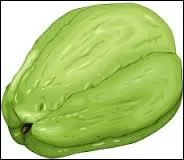 Appele  Christophine  ou  Chouchou , cette courge a la particularit de produire des tubercules :