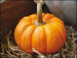 Quel est le nom de cette mini-courge orange qui peut se conserver toute l'anne ?