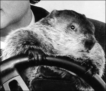 Dans lequel de ces trois pays roule-t-on  droite ?