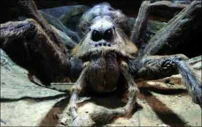 Comment s'appelle l'acromentule vivant dans la Forêt interdite ?