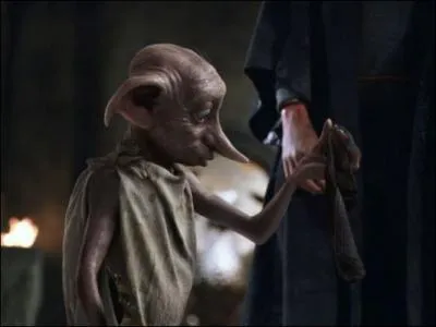 Quel vêtement offre Harry à Dobby pour le libérer ?