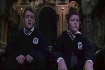 De qui Harry et Ron prennent-ils l'apparence ?