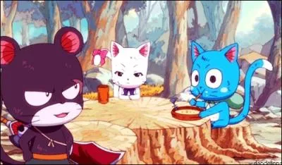 Comment sont Happy et Carla, 7 ans plus tard ?