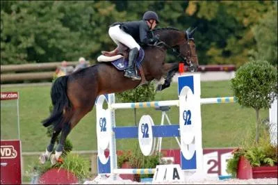 Comment s'appelle cette discipline questre ?