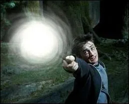 Quel est le sortilège qui permet de repousser les Détraqueurs ?