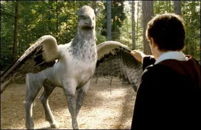Comment s'appelle l'hippogriffe qu'Hagrid fait étudier à ses élèves ?