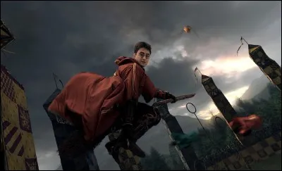 Pendant le match contre Poufsouffle, comment le Nimbus 2000 de Harry s'est-il cassé ?