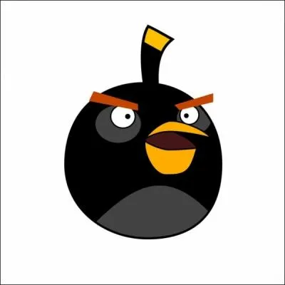 Comment s'appelle cet oiseau ?