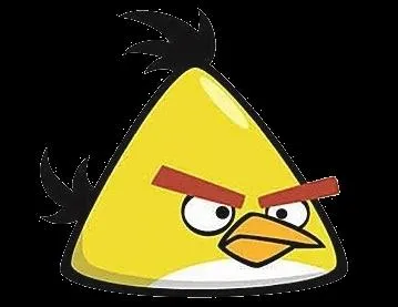 Comment s'appelle cet oiseau ?