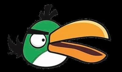 Comment s'appelle cet oiseau ?