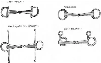 Le mors se lave avec de la graisse.