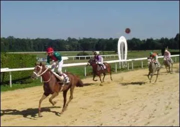 Pourquoi faut-il prendre des distances ?