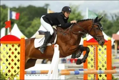 Quelle est parmi ces races, la race la plus prometteuse en CSO ?