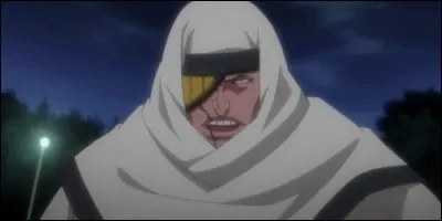 Dans "Bleach", qui tente d'assassiner la princesse Rurichiyo ?