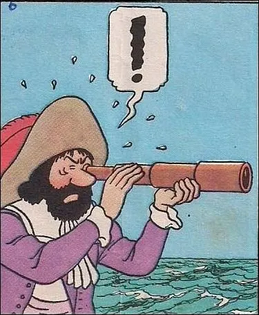 Que voit l'anctre du capitaine Haddock dans sa longue vue ?