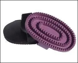 Comment s'appelle cette brosse ?