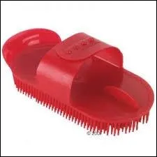 Comment s'appelle cette brosse ?