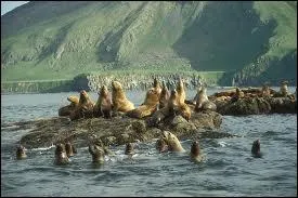 La mer de Béring se situe dans l'océan...