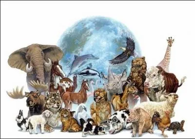  quel groupe cette image vous fait-elle penser ?