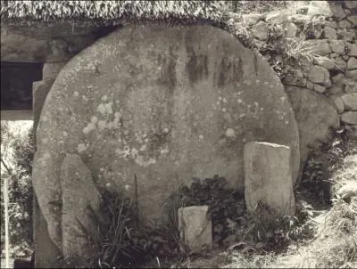  quel groupe cette image vous fait-elle penser ?