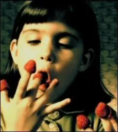 Plus difficile, car il faut davantage avoir fait marcher ses oreilles que ses yeux en regardant le film... Qui est le narrateur de l'histoire, celui qui explique ce que chacun aime ou n'aime pas ?