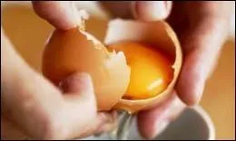 On ne fait pas ------ sans casser des ufs.